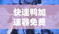 快速鸭加速器免费使用时间 快速鸭加速器免费使用时间
