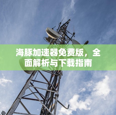 海豚加速器免费版,全面解析与下载指南