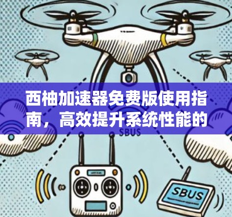 西柚加速器免费版使用指南,高效提升系统性能的三大技巧