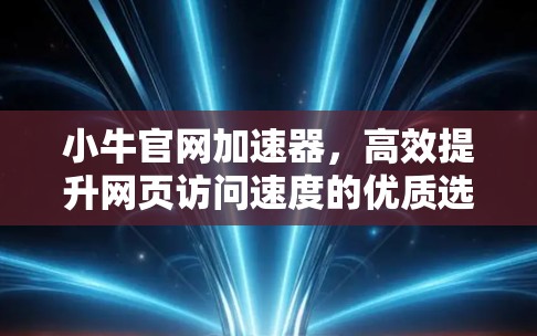 小牛官网加速器,高效提升网页访问速度的优质选择