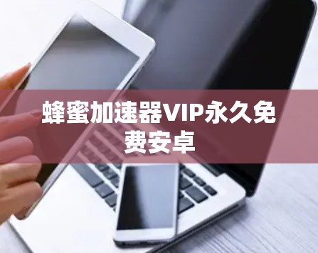 蜂蜜加速器VIP永久免费安卓