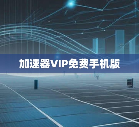 加速器VIP免费手机版 加速器VIP免费手机版