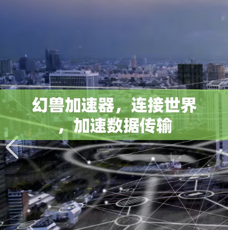 幻兽加速器,连接世界,加速数据传输 幻兽加速器,连接世界,加速数据传输