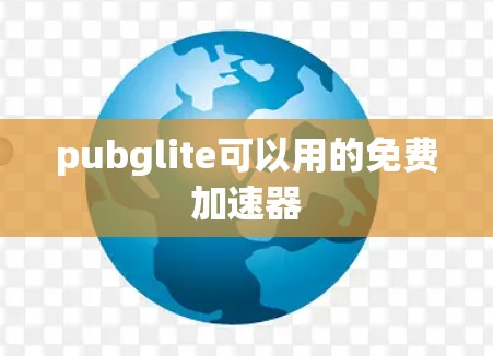 pubglite可以用的免费加速器 pubglite可以用的免费加速器