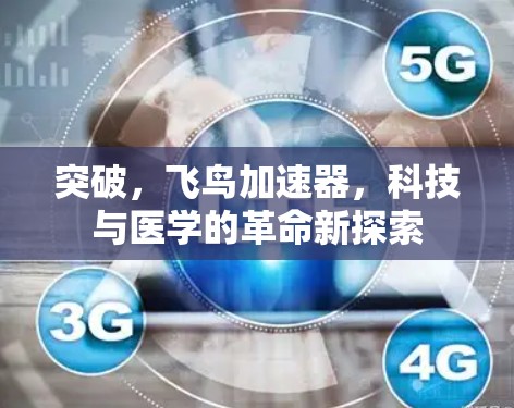 突破,飞鸟加速器,科技与医学的革命新探索 突破,飞鸟加速器,科技与医学的革命新探索