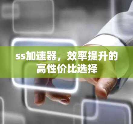 ss加速器,效率提升的高性价比选择