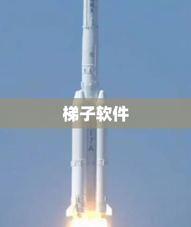 梯子软件