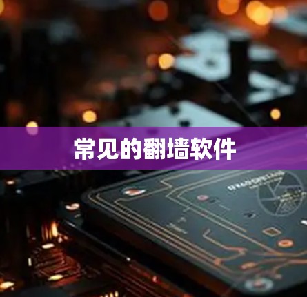 常见的翻墙软件