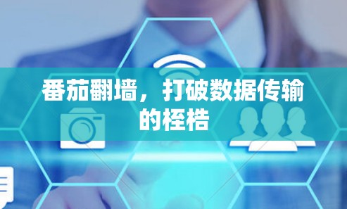 番茄翻墙,打破数据传输的桎梏 番茄翻墙,打破数据传输的桎梏
