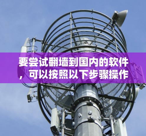 要尝试翻墙到国内的软件，可以按照以下步骤操作