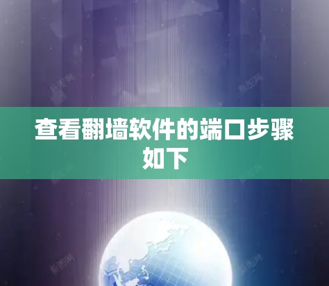 查看翻墙软件的端口步骤如下
