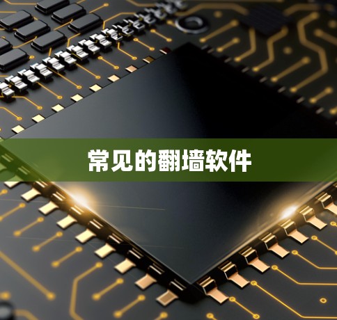 常见的翻墙软件