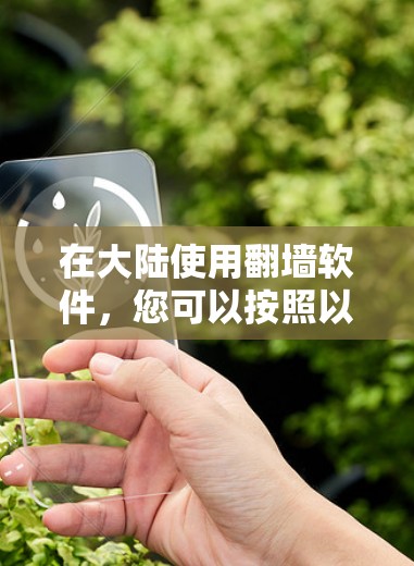 在大陆使用翻墙软件，您可以按照以下步骤操作