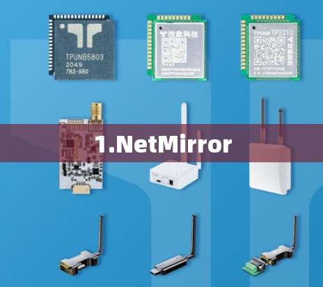 1.NetMirror