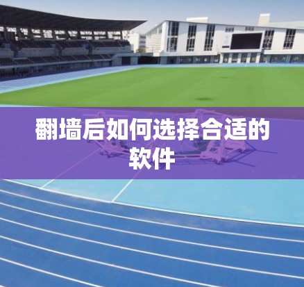 翻墙后如何选择合适的软件 翻墙后如何选择合适的软件
