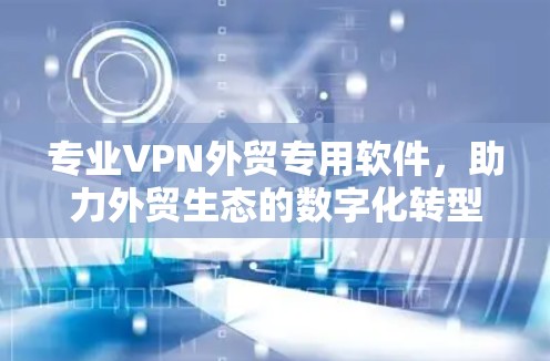 专业VPN外贸专用软件,助力外贸生态的数字化转型 专业VPN外贸专用软件,助力外贸生态的数字化转型