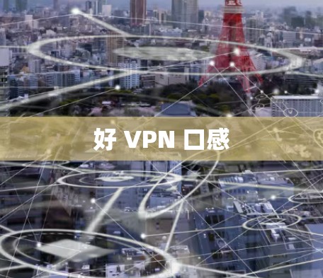 好 VPN 口感