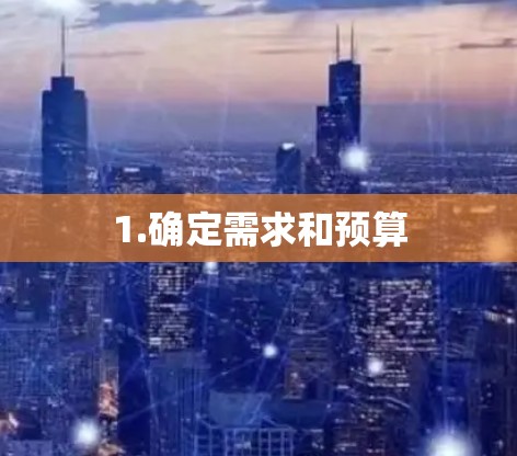1.确定需求和预算
