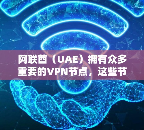阿联酋（UAE）拥有众多重要的VPN节点，这些节点在国际互联网基础设施中起着关键作用。以下是关于阿联酋VPN节点的详细分析