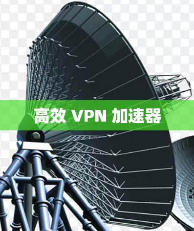 高效 VPN 加速器 高效 VPN 加速器