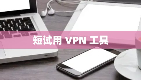 短试用 VPN 工具 短试用 VPN 工具