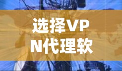 选择VPN代理软件时,应基于以下几点考虑 选择VPN代理软件时,应基于以下几点考虑