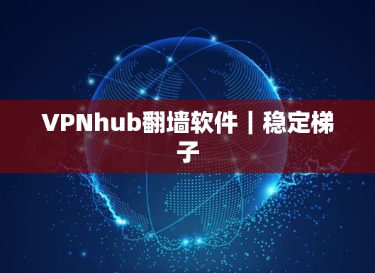 VPNhub翻墙软件|稳定梯子
